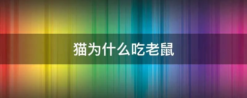 猫为什么吃老鼠