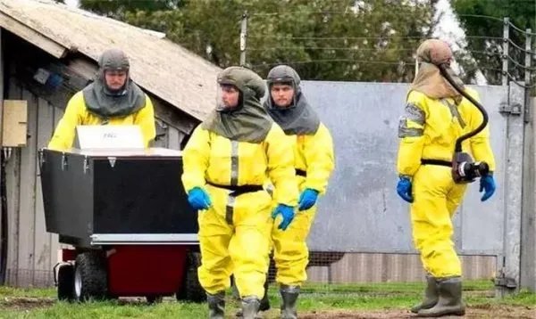 丹麦宣布捕杀1700万只水貂，为何会引起网友热议呢？