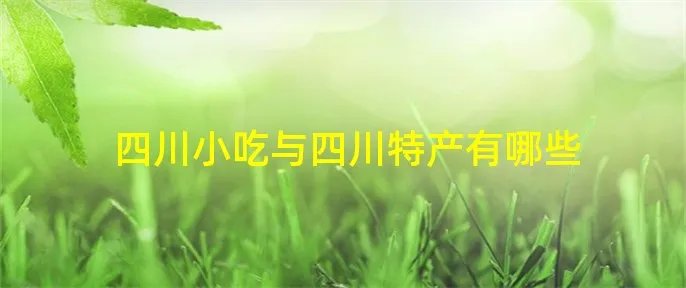 四川小吃与四川特产有哪些