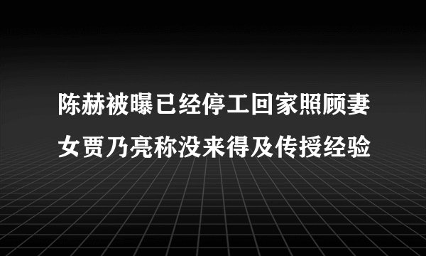 陈赫被曝已经停工回家照顾妻女贾乃亮称没来得及传授经验