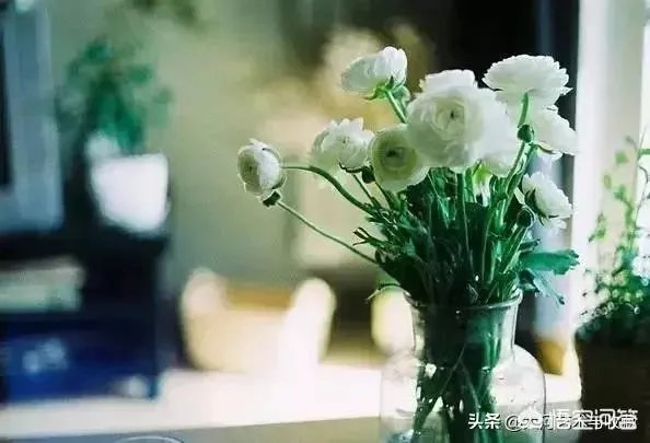 范冰冰美容院开业,曝办卡最高价100万元,如果有机会你愿意到这里上班吗?