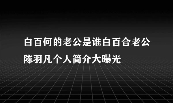 白百何的老公是谁白百合老公陈羽凡个人简介大曝光