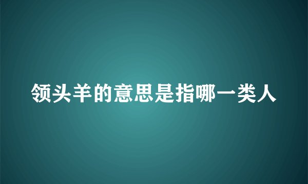 领头羊的意思是指哪一类人