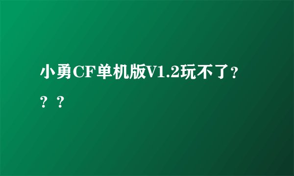 小勇CF单机版V1.2玩不了？？？