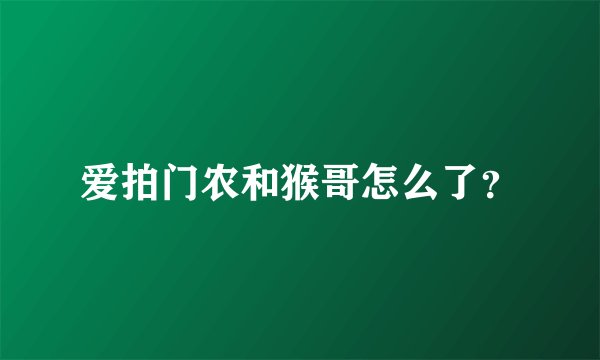 爱拍门农和猴哥怎么了？