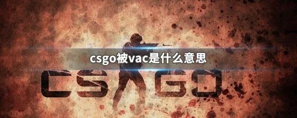 csgo被vac是什么意思