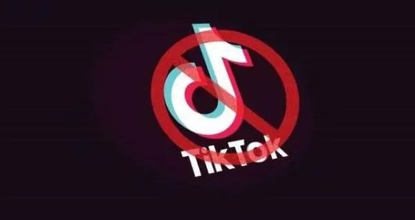 如何看待Tik Tok起诉美国政府的决定，你会支持吗？