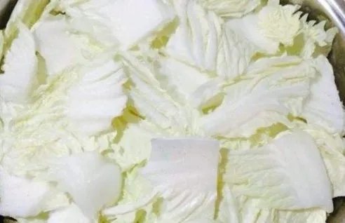 猪肉白菜炖粉条怎么做啊?