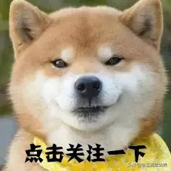 怎样才能找到兰花龙蛋？