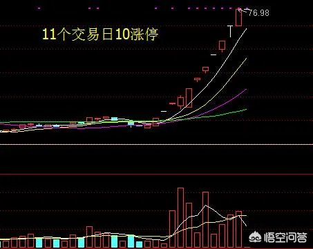 盘龙药业这个公司怎么样？