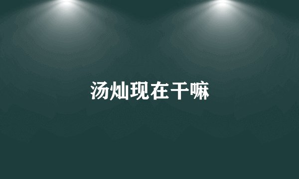汤灿现在干嘛