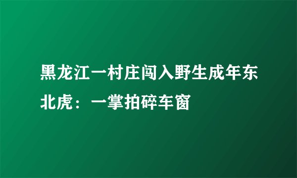 黑龙江一村庄闯入野生成年东北虎：一掌拍碎车窗