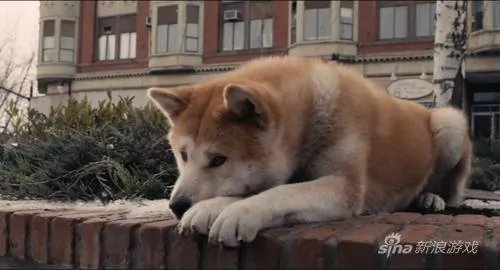 最忠诚的伙伴！游戏中的11大著名狗狗角色大盘点