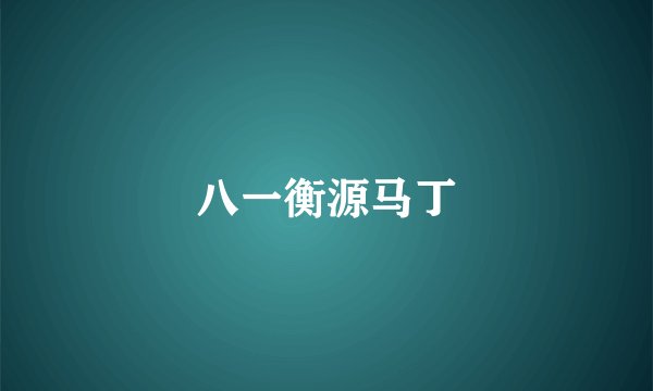 八一衡源马丁