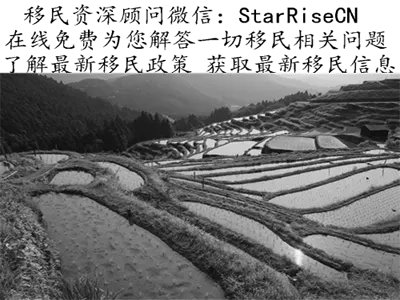 瓦努阿图绿卡价格