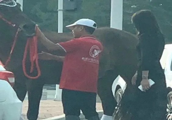 如何看待真马撞上玛莎拉蒂后，玛莎拉蒂司机的做法呢？