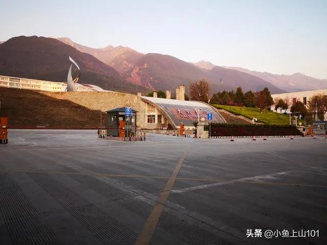 大理大学的樱花真的很多吗？好看吗？