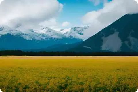 明星人生剧场详细资料大全