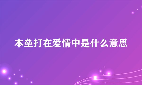 本垒打在爱情中是什么意思