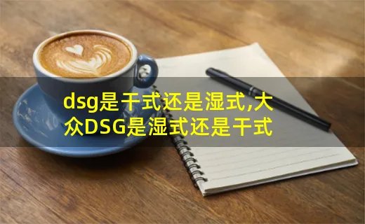 dsg是干式还是湿式,大众DSG是湿式还是干式