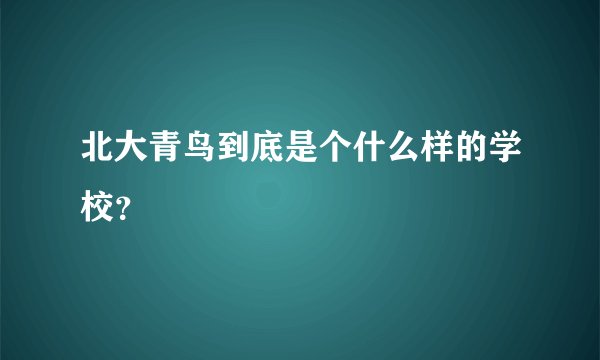 北大青鸟到底是个什么样的学校？
