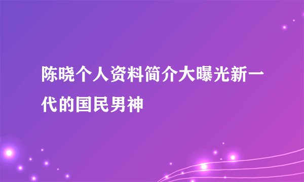 陈晓个人资料简介大曝光新一代的国民男神