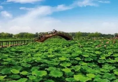 雄安新区要怎样建城？