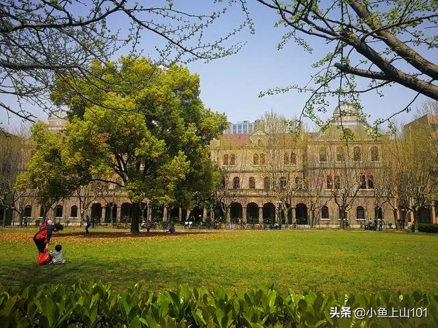 大理大学的樱花真的很多吗？好看吗？