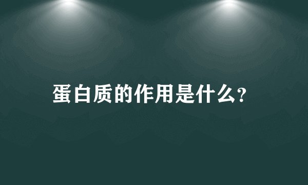 蛋白质的作用是什么？