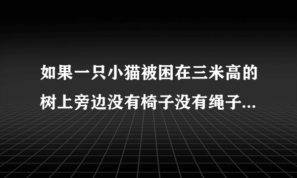 如果一只小猫被困在三米高的树上旁边没有椅子没有绳子自己也不会爬树怎么办