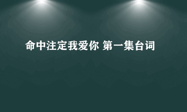 命中注定我爱你 第一集台词
