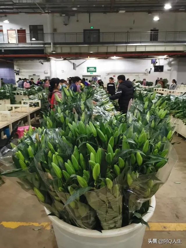 花卉批发一般去哪里呢？