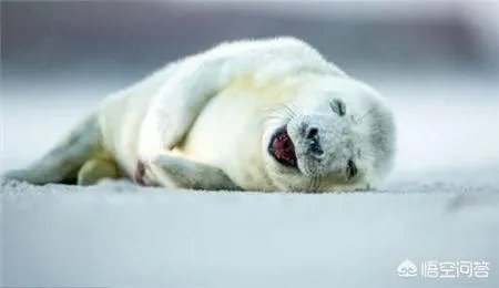 你坐地铁遇到最奇葩的一件事是什么？