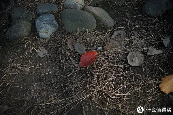 美能达镜头推荐