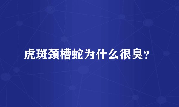 虎斑颈槽蛇为什么很臭？