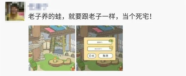 天天都在苦等照片 蛙儿子为何深得人心