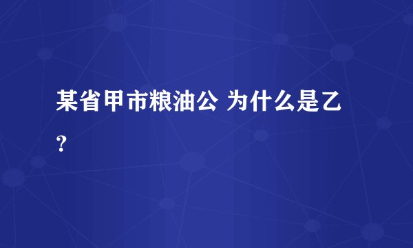 某省甲市粮油公 为什么是乙？