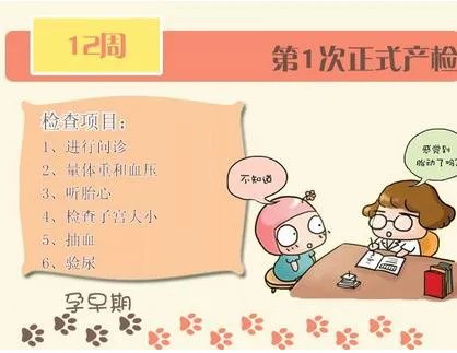孕期检查的最佳时间：准妈妈必知的孕期检查项目时间表