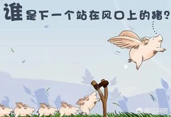 今日头条小程序开发,会是下一个风口吗?