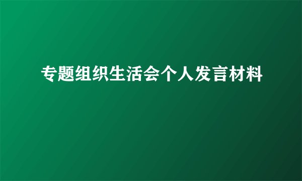 专题组织生活会个人发言材料
