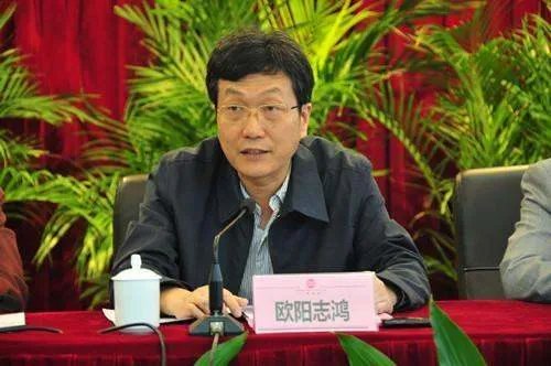 杨慧的个人简介