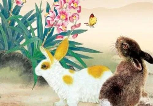 牛和兔属相合不合 属牛的和什么属相最配、相克