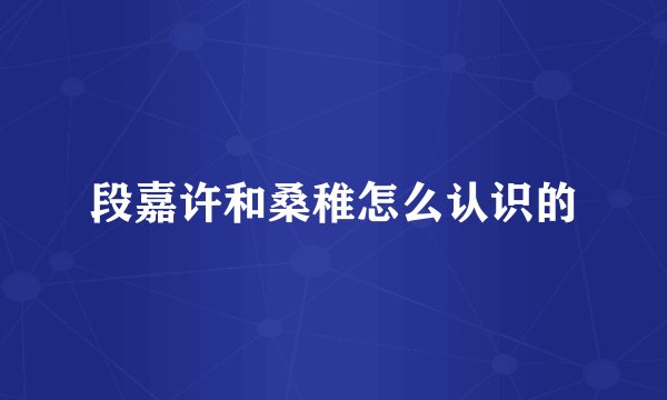 段嘉许和桑稚怎么认识的
