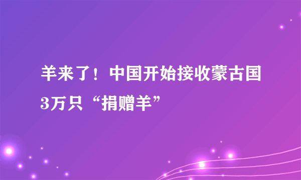 羊来了！中国开始接收蒙古国3万只“捐赠羊”