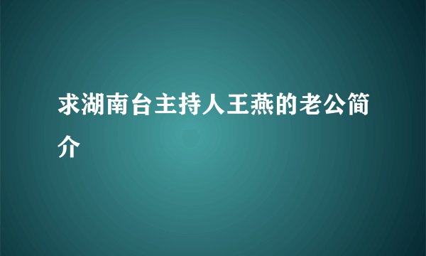 求湖南台主持人王燕的老公简介