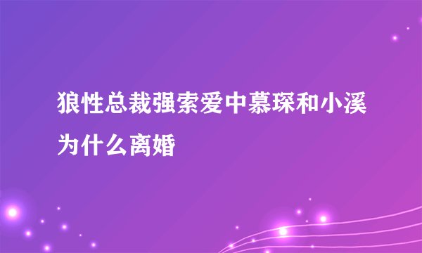 狼性总裁强索爱中慕琛和小溪为什么离婚
