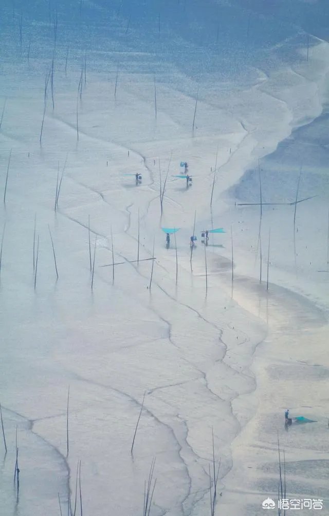 厦门去霞浦是到宁德火车站还是到霞浦火车站？