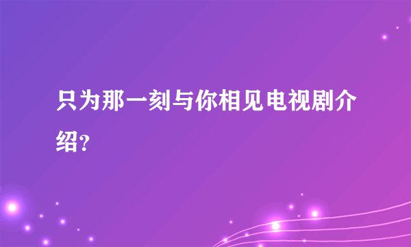 只为那一刻与你相见电视剧介绍？