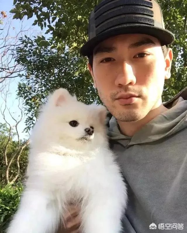 除了沥川往事，还有什么好看感人的电视剧？