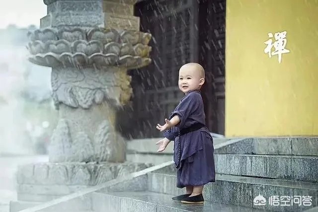 你的职场成长历程是怎样的？